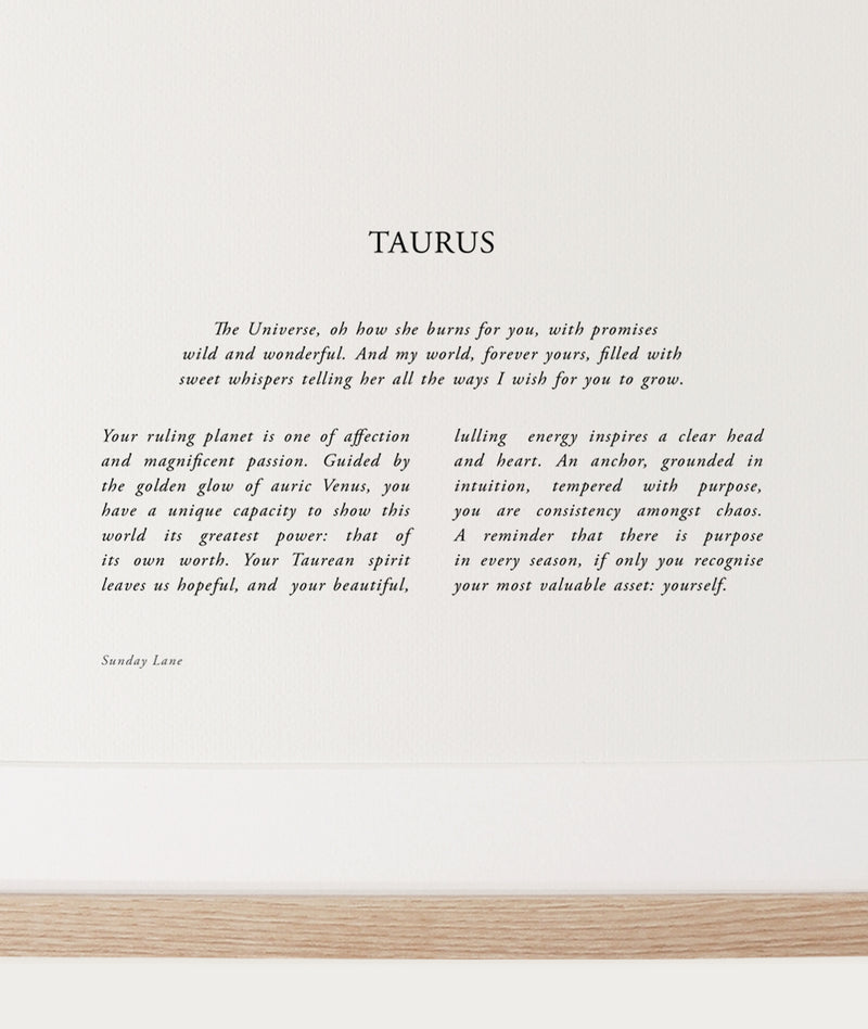Taurus 04