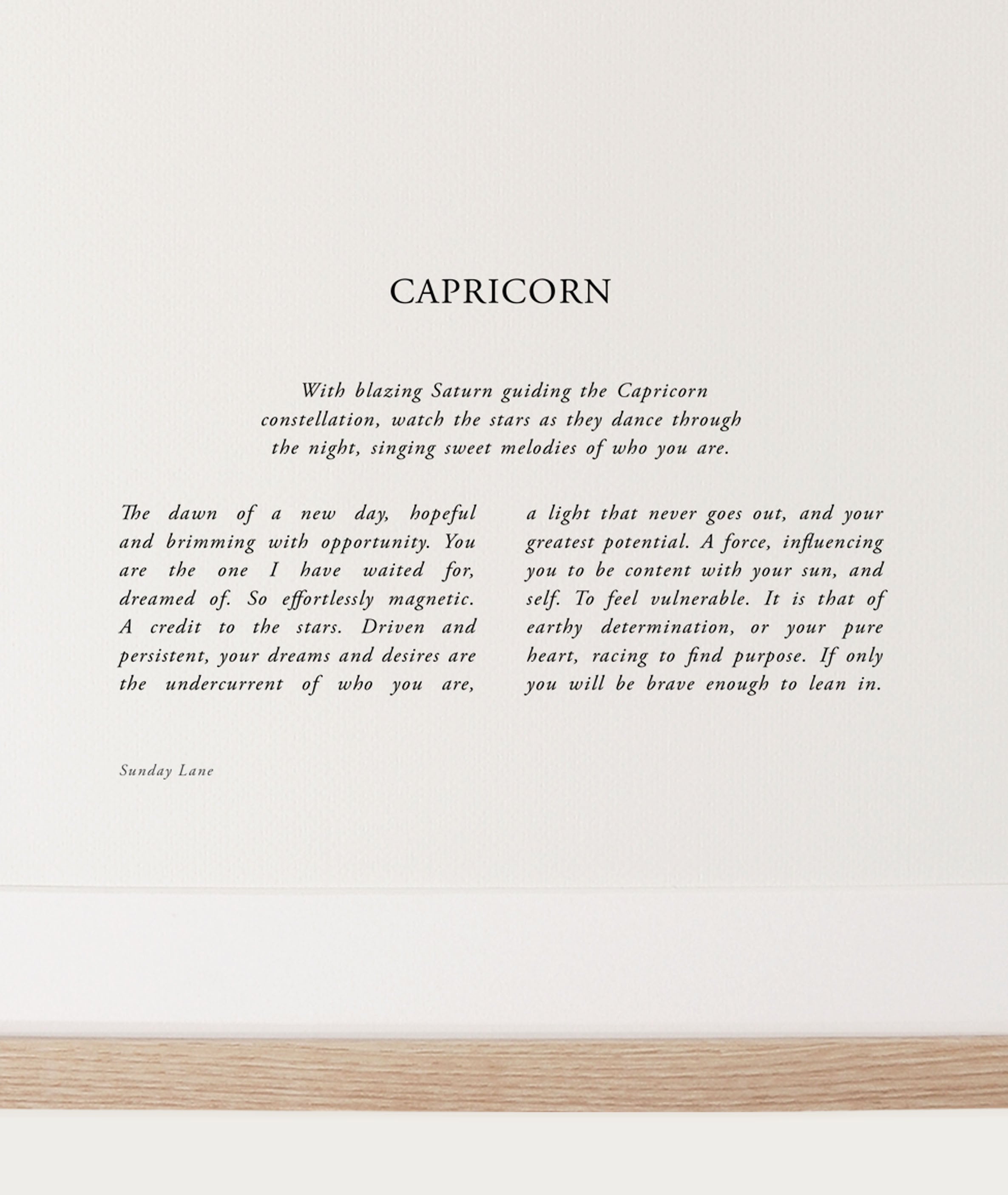 Capricorn 04