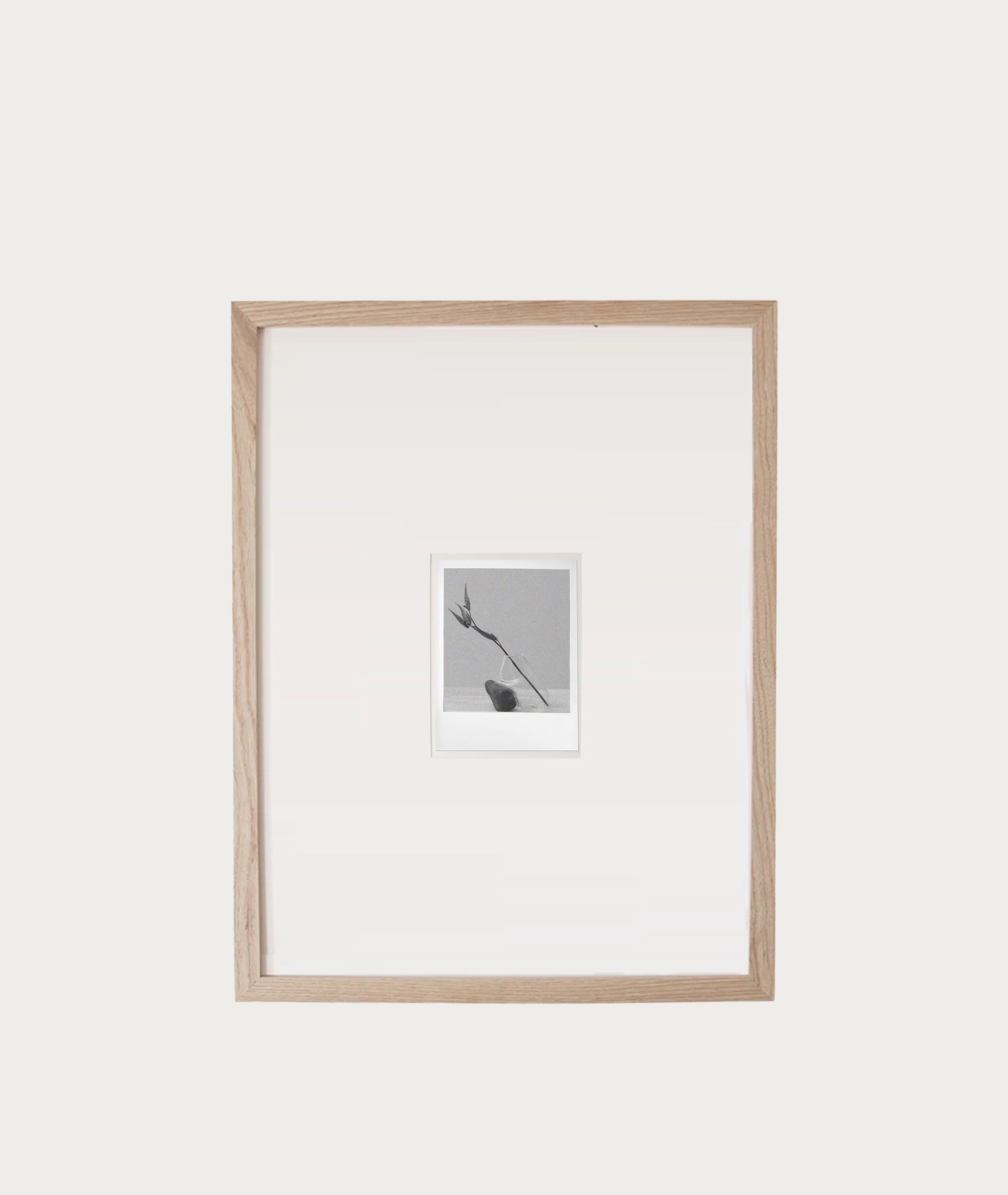 Natural Frame Polaroid
